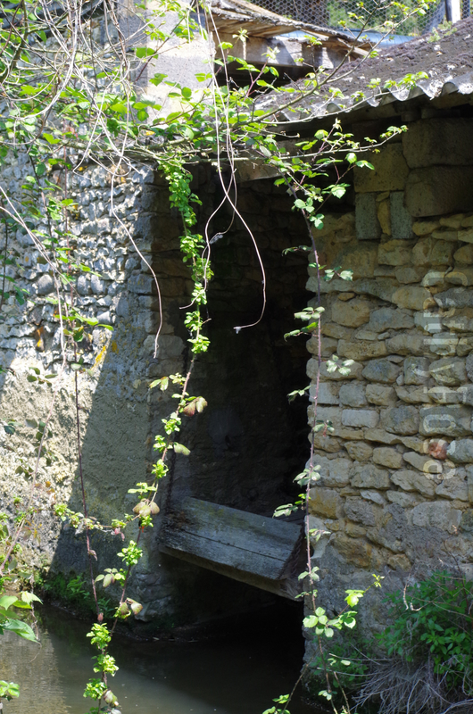 && Moncontour (5)