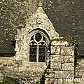 DSC07685