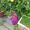 20190622_113337 - Copie