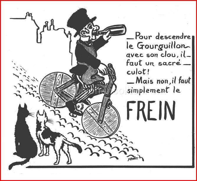 le chat 1
