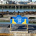 Fisherman Warf (41)