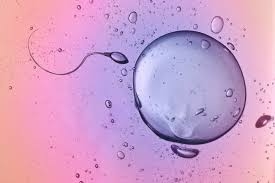 9 infos sur la fertilité que vous devriez connaître, même à 20 ans