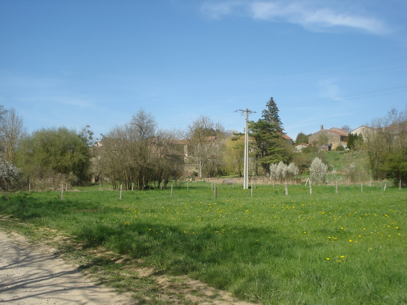 DSC06443