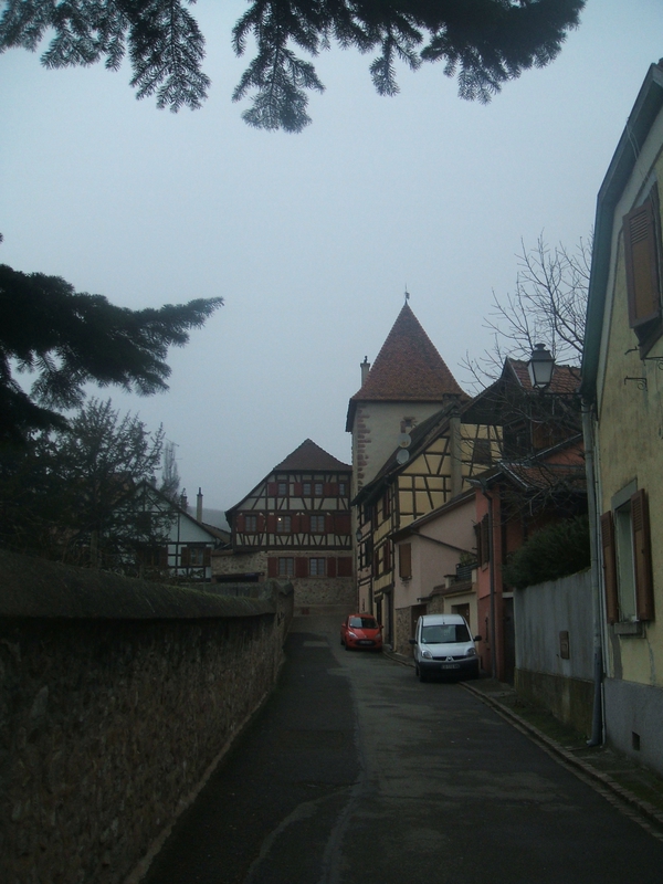 DSCF3665