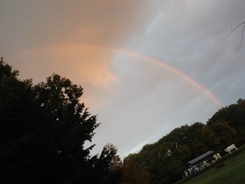 DSCF0567