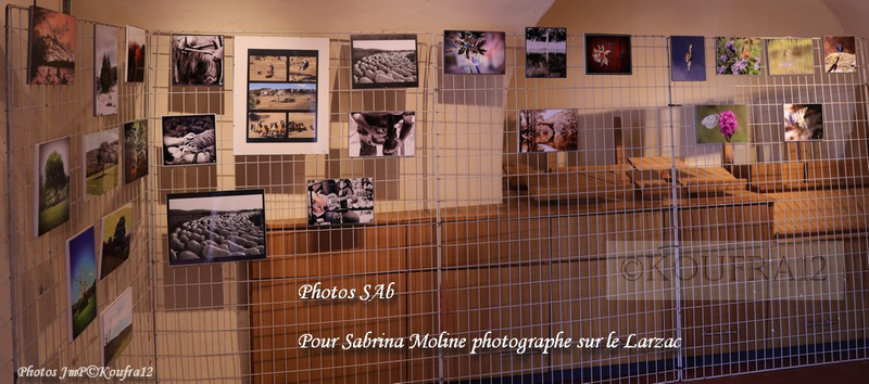 Photos JMP©Koufra 12 - Le Caylar - Festival - Concert - Sabrina- 25072019 - 0116