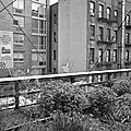 High Line (20)