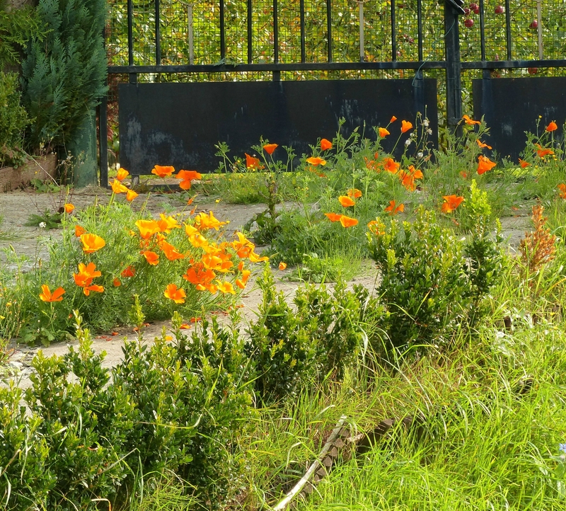 P1050806