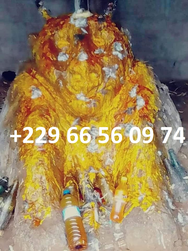 66689974_1476216602519673_744299265253179392_n