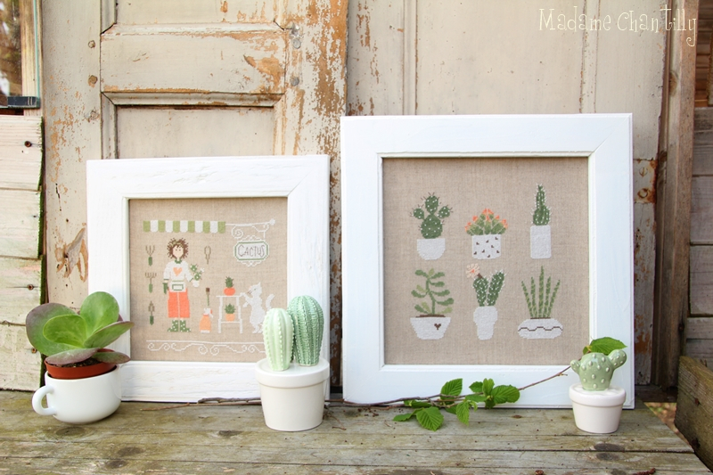 cactus mania 1