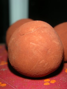 DSCN7550