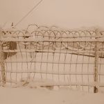 Ma_maison_divers14
