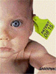 bebe_betail