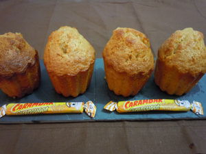 muffins_carnougat__2_