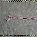 Dentelles et accessoire
