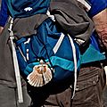 _IGP6397 (2)
