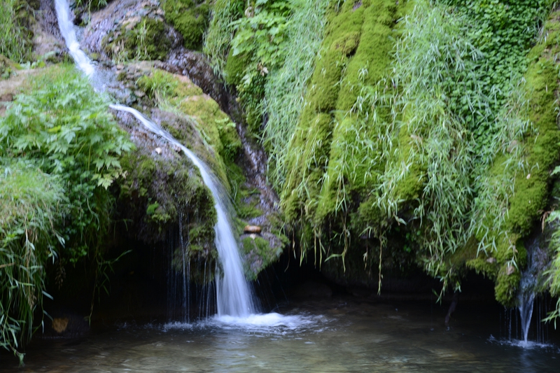 DSC_1723