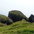 P1170712