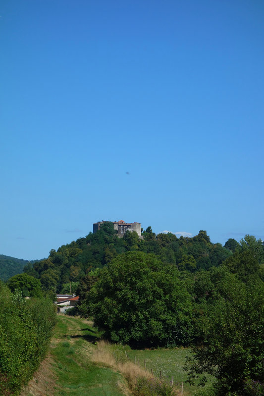 DSC06020