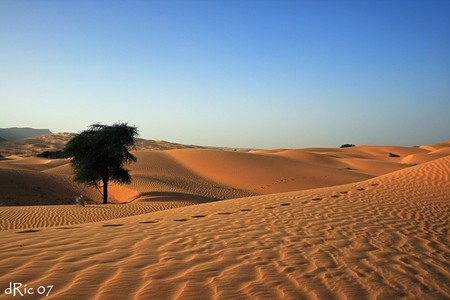 mauritanie_21412
