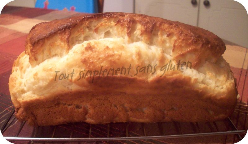 Gomme de xanthane  Sans gluten – Boulangerie Cannelle