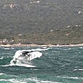 RELANCE_BACK_WIND_SURF__ROGER_S__SPOT__TUNARA_