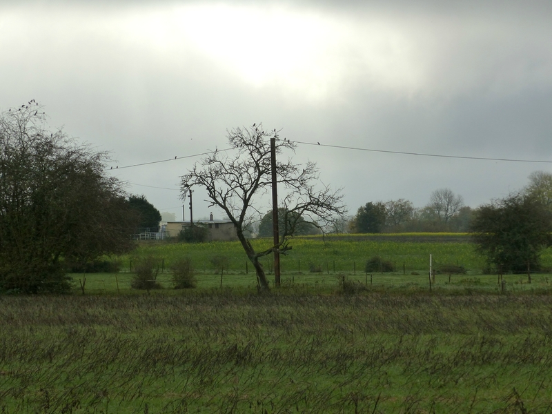 P1060909