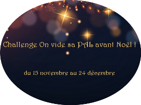 Logo_videtapalavantnoel1_reduit