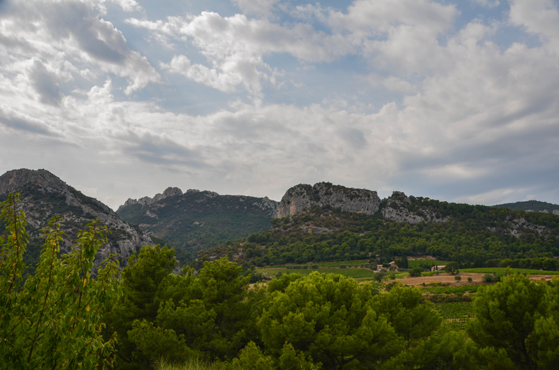 DSC_6313;