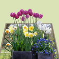 Bouquet en 3d