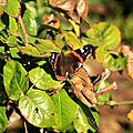 IMG_1789