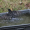 IMG_0240 - Copie
