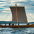 On a trouvé des vikings à toulouse qui construisent un drakkar pour traverser l'atlantique...