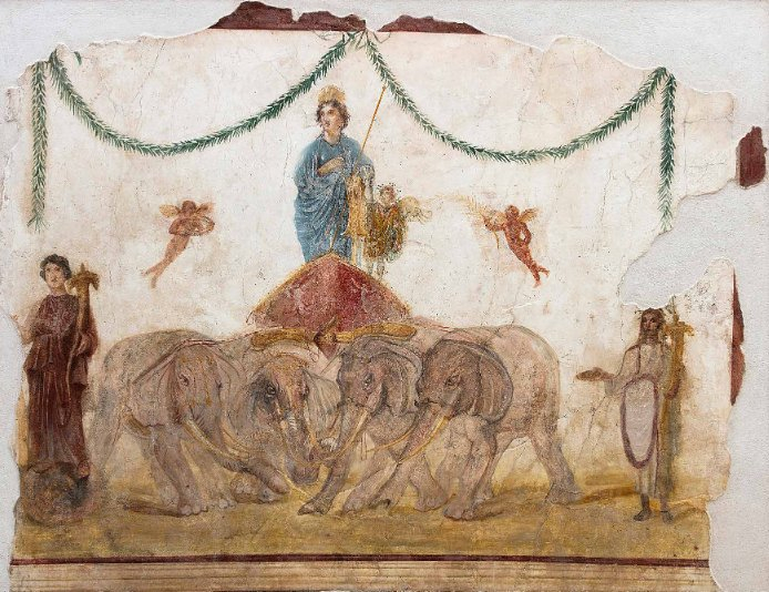 pompei-venus-elephants
