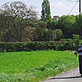IMGP3775