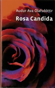rosa candida