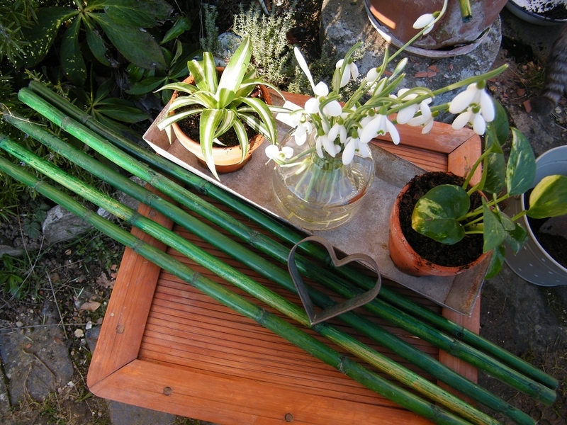 FLEUR