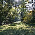 [haute-savoie] promenade dans la forêt de ripaille