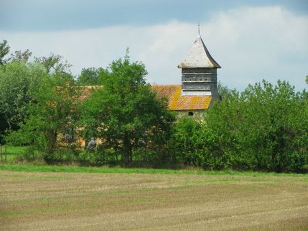 IMGP3682