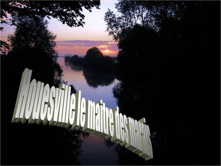 le maitre des marais 02