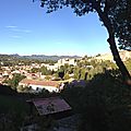 IMG_1846