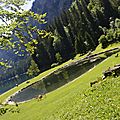 _DSC0219