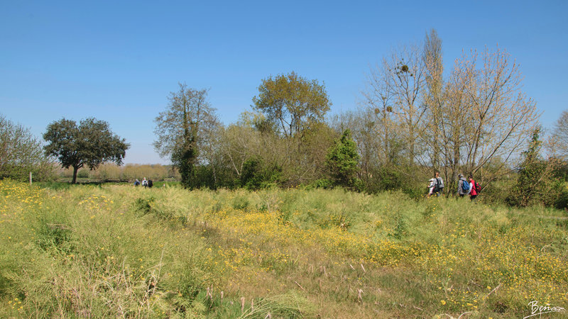 Urt-Urcuit-1