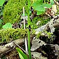 DSC07399