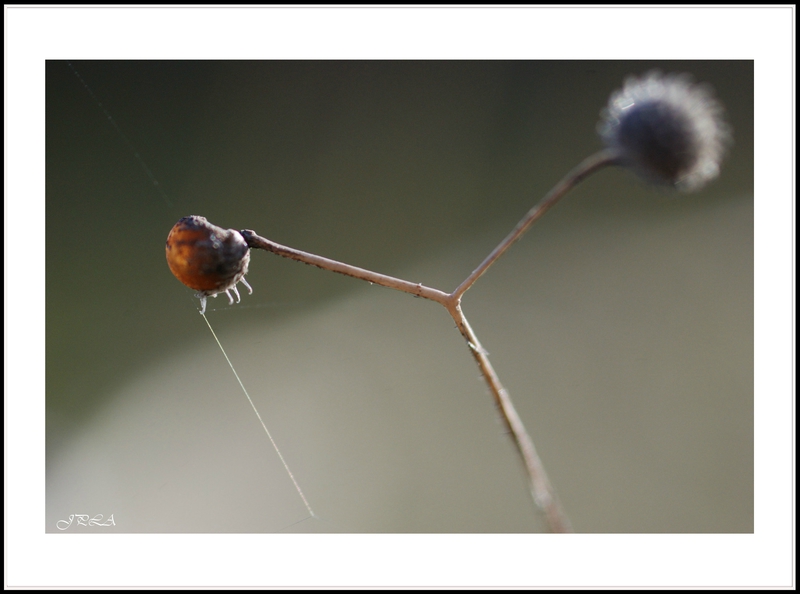 14 01 20 14 01 14 macro 8110 c