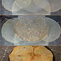 Pastilla de poulet 3