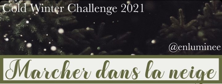 MARCHER DANS LA NEIGE