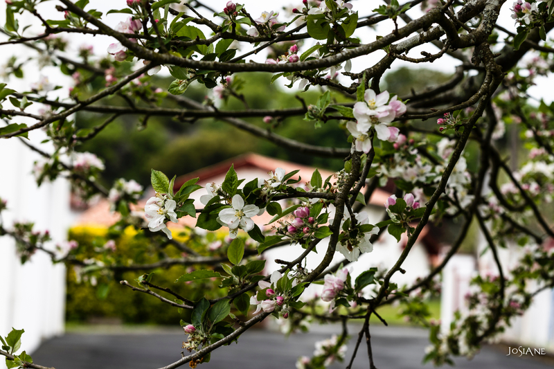 11042019-_MG_5223