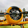 1056 - Goodwood - Display Avions
