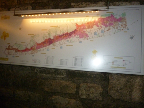 P1060696